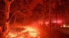 Jumlah Korban Tewas Akibat Kebakaran di Australia Meningkat