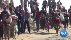 Grassroots Movement to Support Refugees is Growing in Washington 