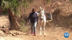 Xalqaro hayot – 6-may, 2021-yil