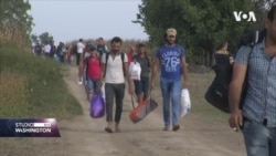 Izbjeglice - pitanje od velikog interesa uoči izbora u Njemačkoj