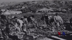 加州酒乡被遗忘的华人劳工