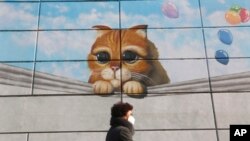 A woman wearing a face mask as a precaution against the coronavirus passes by wall mural of a shopping center in Seoul, South Korea.