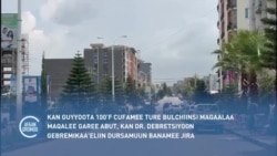 Kan Guyyoota 100'f Cufamee Ture Bulchiinsi Magaalaa Maqalee Garee ABUT, Kan Dr. Debretsiyoon Gebremikaa'eliin Dursamuun Banamee JIra