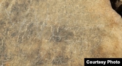 Engraved Cherokee syllabary inscription from 1.5km into Manitou Cave is signed, "Richard Guess," believed to be the son of Cherokee syllabary inventor Sequoyah, also known as George Guess or Gist.