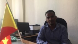 ኣብ ክልል ትግራይ ስግኣት ዕስለ ኣምበጣ ምህላው ተገሊጹ