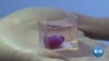 Human Tissue Used to Create 3D Printed Heart