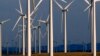 Renewable Energy Surges, But Fossil Fuel Still Powers Most of Economy
