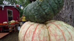 Bertemu Adik yang Hilang lewat Tes DNA di Internet