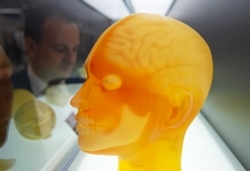 Sebuah objek studi tengkorak 3d tercermin dalam sebuah karya di stand perusahaan Jepang Keyence selama pameran internasional FabCon 3.D dan Rapid.Tech di Messe Erfurt di Erfurt, Jerman, Selasa, 5 Juni 2018. (Foto: AP/Jens meyer)