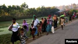 A group of Rohingya refugees, who fled last night from Myanmar by boat, walks toward a makeshift camp in Cox's Bazar, Bangladesh, Nov. 9, 2017.
