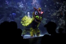 Orang-orang menonton barongsai di bawah air pada hari pertama Tahun Baru Imlek di KLCC Aquaria di Kuala Lumpur, Malaysia, 1 Februari 2022. (Foto: REUTERS/Hasnoor Hussain)