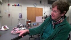 Miniatur-Hobi Klasik yang Tetap Populer