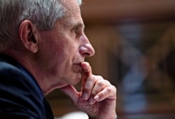 Dr. Anthony Fauci, Direktur Institut Nasional Alergi dan Penyakit Menular, mendengarkan selama dengar pendapat Subkomite Alokasi Senat Rabu, 26 Mei 2021, di Capitol Hill di Washington. (Foto: AP)