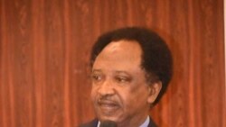 Sanata Shehu Sani (Facebook/Shehu Sani)