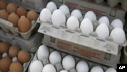 شہر قائد کی بستیاں جہاں انڈے کھانا سہانا خواب ہے