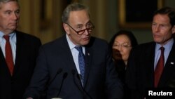 척 슈머 미국 민주당 상원 대표. (자료사진)