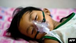 Seorang bocah laki-laki yang terinfeksi demam berdarah dengue di rumah sakit Quirino, Manila. (AFP/Nicolas Asfouri)