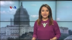 Pelatihan Anjing SAR di Amerika