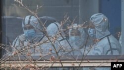 Anggota tim Organisasi Kesehatan Dunia (WHO) yang menyelidiki asal virus corona COVID-19 mengenakan alat pelindung diri (APD) saat mengunjungi pusat pengendalian dan pencegahan penyakit bersumber hewan di Wuhan, Provinsi Hubei, 2 Februari 2021. (Foto: Hector Retamal/AFP)