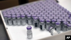 FILE - Frozen vials of the Pfizer-BioNTech COVID-19 vaccine are taken out to thaw, at the MontLegia CHC hospital in Liege, Belgium, Jan. 4, 2021. 