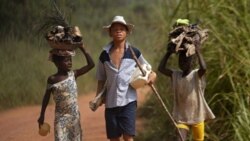 Children living in a cocoa-producing village near the town of Oume, Ivory Coast