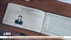 Les Américaines dans l’armée de l’air