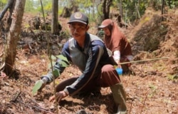 Program reboisasi klinik ASRI (courtesy: Alam Sehat Lestari/ASRI).