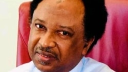 Sanata Shehu Sani