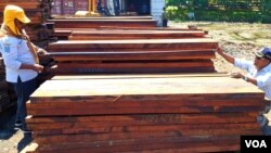 Petugas dari Dinas Kehutanan Provinsi Jawa Timur melakukan pengukuran dan pengujian terhadap barang bukti kayu ilegal hasil operasi Gakkum KLHK (foto: VOA/Petrus).