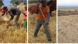 Qabeenya Uumamaa Itiyoophiyaa fi Hiyyuuma