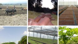 Itiyoophiyaan Otuu Qabeenyaa Uumamaan Badhaatee Jirtuu Maaliif Uummatni Irra-jireessi Dinagdeen Of Danda’uu Dadhabe?