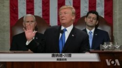 川普国情咨文软姿态获好评 民主党持保留态度