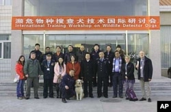 Those involved in combating rhino poaching are implementing various strategies to stop the crime, such as the use of specially trained sniffer dogs to detect smuggled rhino horns.