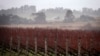 Australian Wildfires Threaten to Produce ‘Ashtray’ Wine Vintage