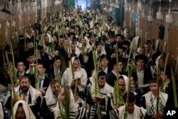 جشن سوکوت در اسرائیل