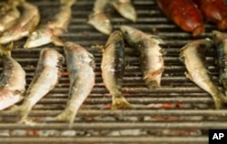 Eating more prey than predators could help restore a healthy balance to the ocean ecosystem.