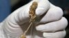Thailand Suspends Patent Applications for Medical Marijuana