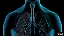 Para periset dari Pusat Riset Kanker Fred Hutchinson di Seattle, AS sedang mengembangkan tes darah baru untuk mencari protein kanker paru-paru.