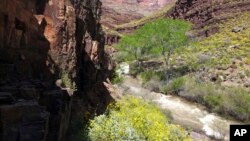 This National Park Service photo shows Tapeats Creek in Grand Canyon National Park in Arizona, April 16, 2017. Authorities are searching for Jackson Standefer, 14, and Lou-Ann Merrell, 62, after the pair lost their footing Saturday and fell into the water