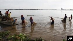 Cambodian fishermen move their fishing net from the Mekong River as they catch fish on the outskirts of Phnom Penh, file photo.