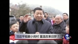 VOA连线(胡平)：习近平视察小岗村，重温改革旧梦？