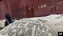 Buhunan Koko (Cocoa) n