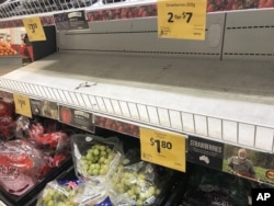 Empty shelves, normally stocked with strawberry punnets, are seen at a Coles Supermarket in Brisbane, Australia, Sept. 14, 2018.