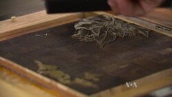 From Destructive Plants to Paper, Inks and Art