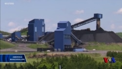 Ko'mirchilar Tramp siyosatidan mamnun