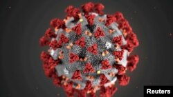 FILE PHOTO: The ultrastructural morphology exhibited by the 2019 Novel Coronavirus (2019-nCoV), is seen in an illustration released by the Centers for Disease Control and Prevention (CDC) in Atlanta, Georgia, U.S. January 29, 2020. 