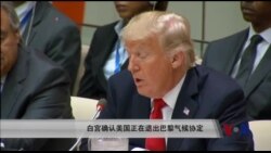 白宫确认美国正在退出巴黎气候协定