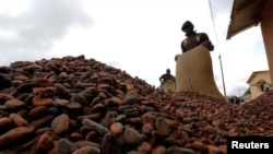 Une pile de fève de cacao en Côte d'Ivoire (Reuters)