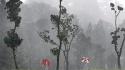 Rain, Rain, Go Away!