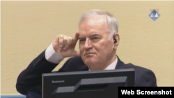 Ratko Mladić u sudnici Tribunala u Hagu prilikom izricanja prvostepene presude kojom je osuđen na doživotni zavor, 22. novembar 2017.